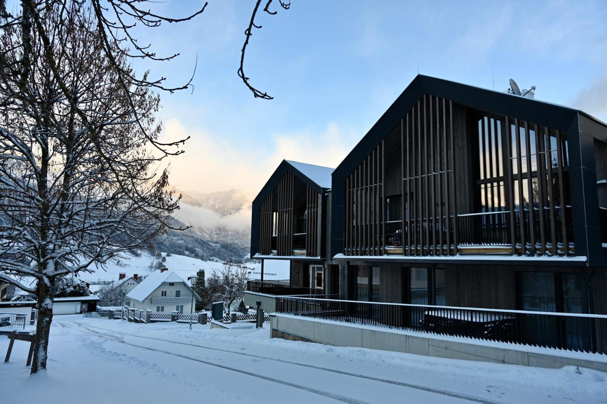 Aloha Suites - Alpin Lodge Haus Haus im Ennstal Extérieur photo